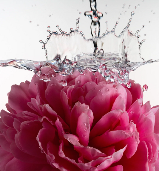 Athena Club Glossy Shave Oil - Petal Bloom