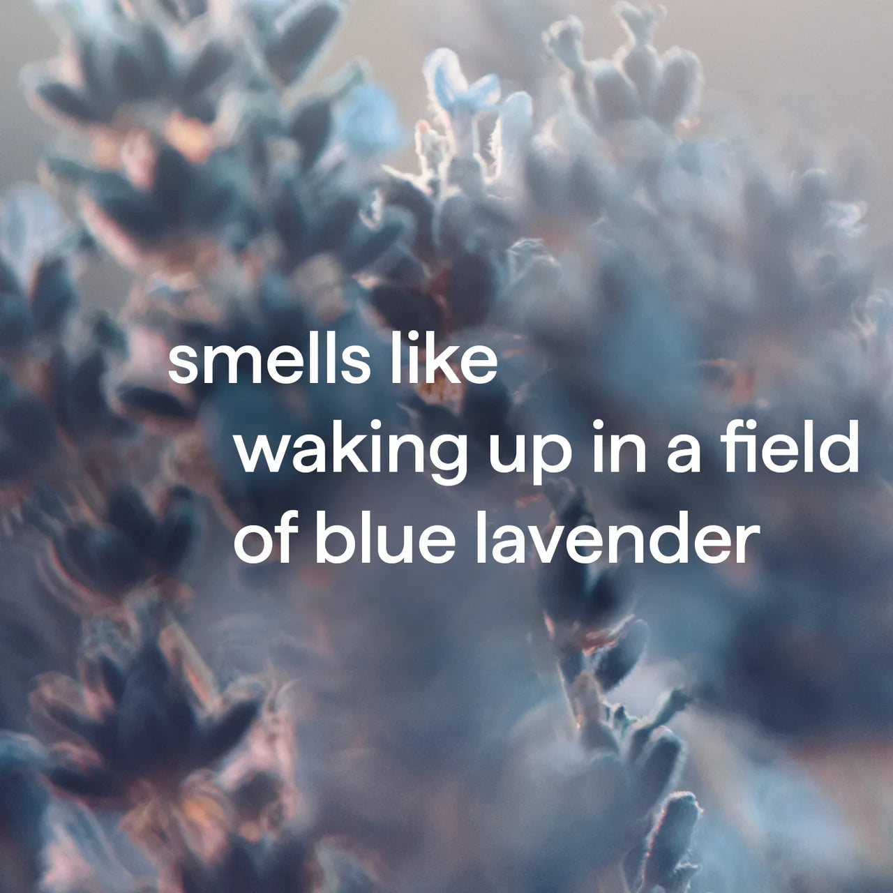 Method Body Wash - Wind Down 18 Fl Oz