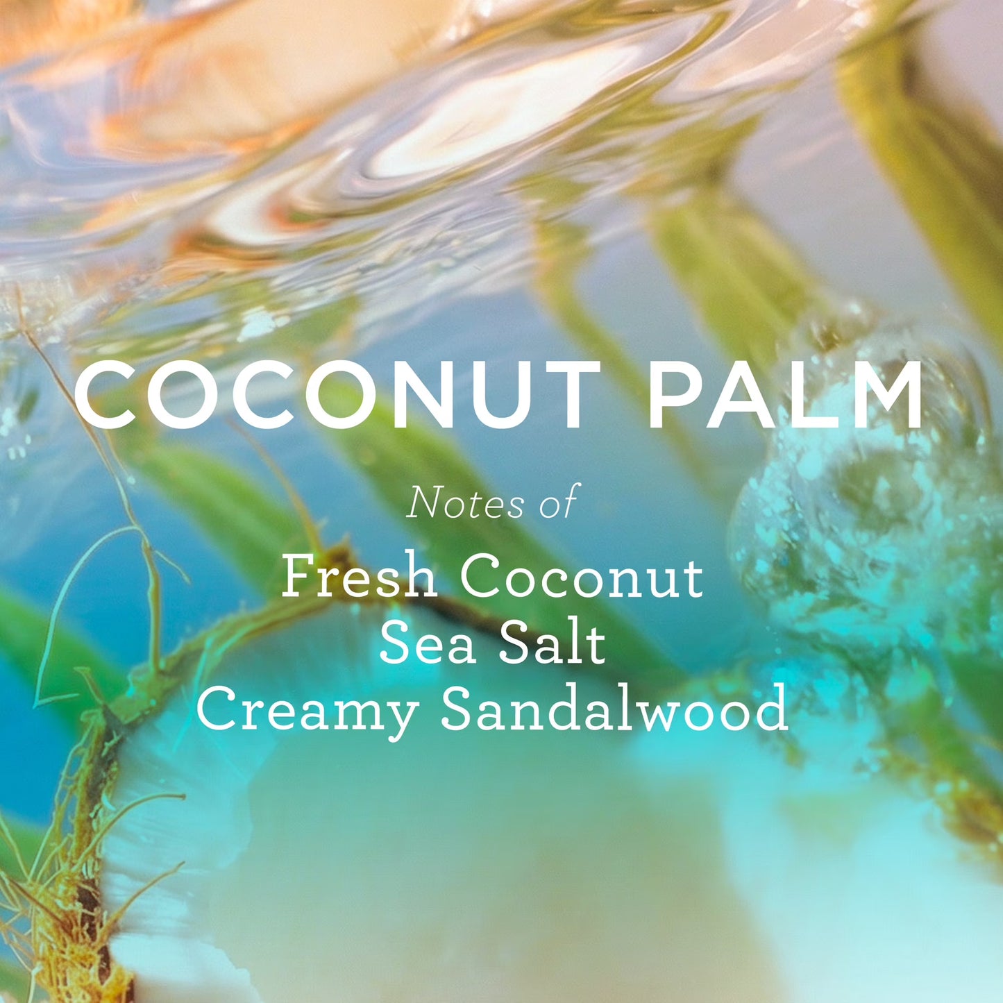 MIX:BAR Coconut Palm Body Wash with Vitamin E, 16fl oz