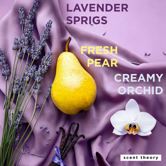 Scent Theory Body Lotion with Shea Butter- Silk Sheets, 18 oz