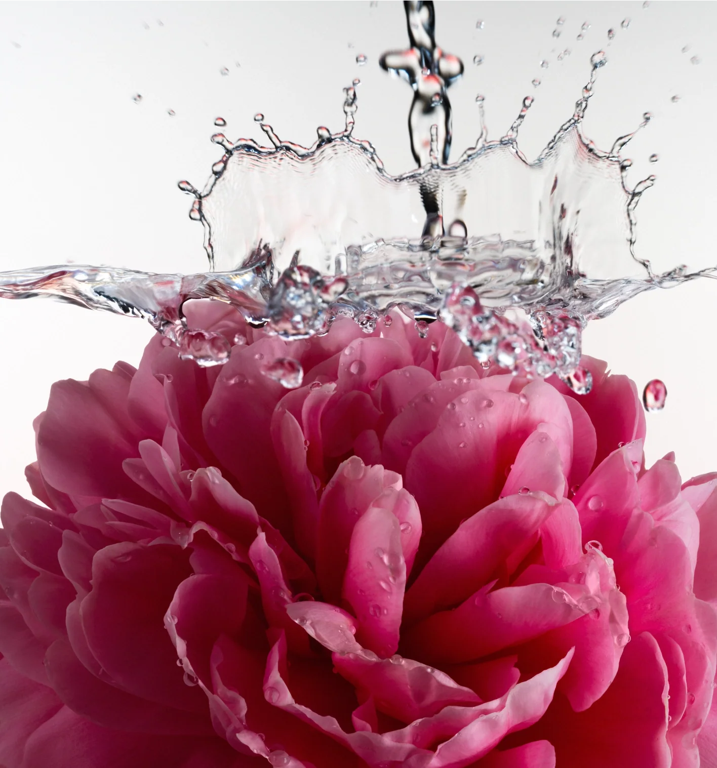 Athena Club Glossy Shave Oil - Petal Bloom