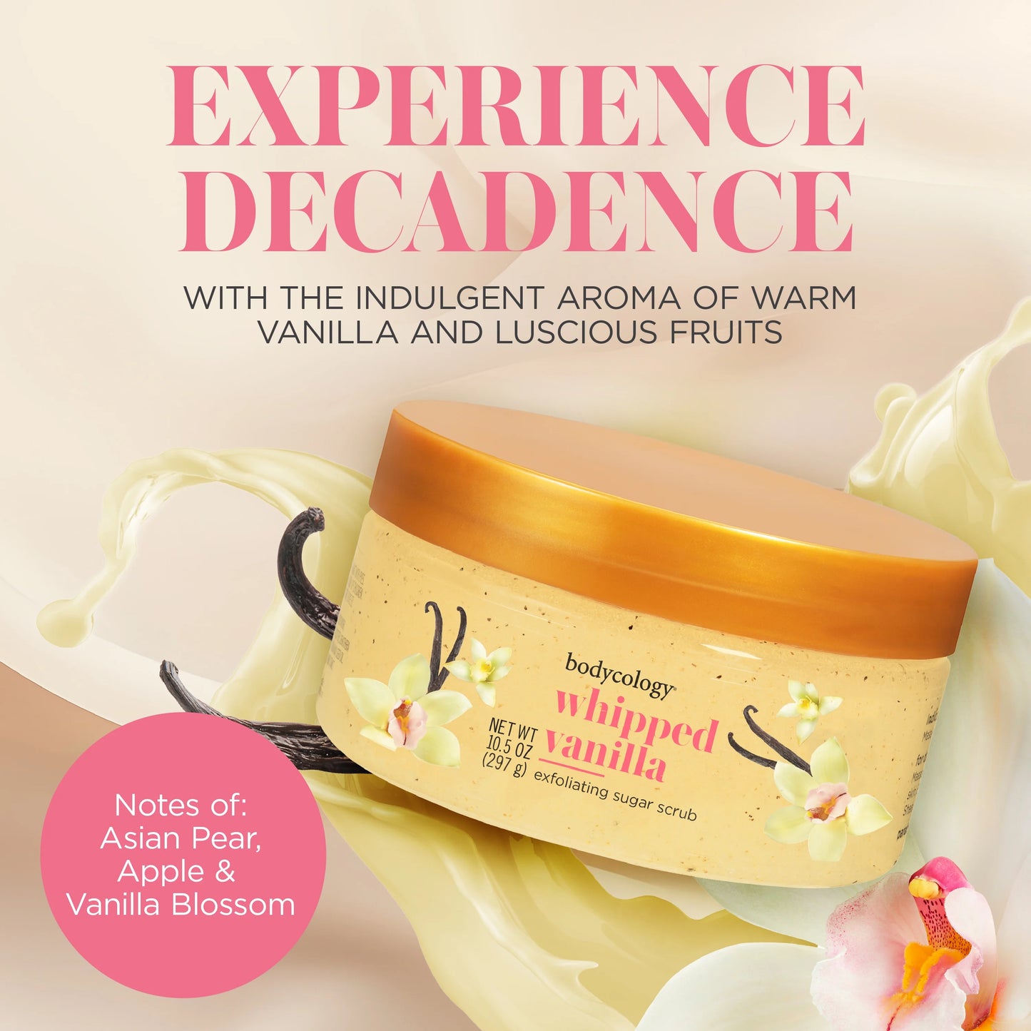 Bodyology Whipped Vanilla Exfoliating Sugar Scrub 10.5 oz