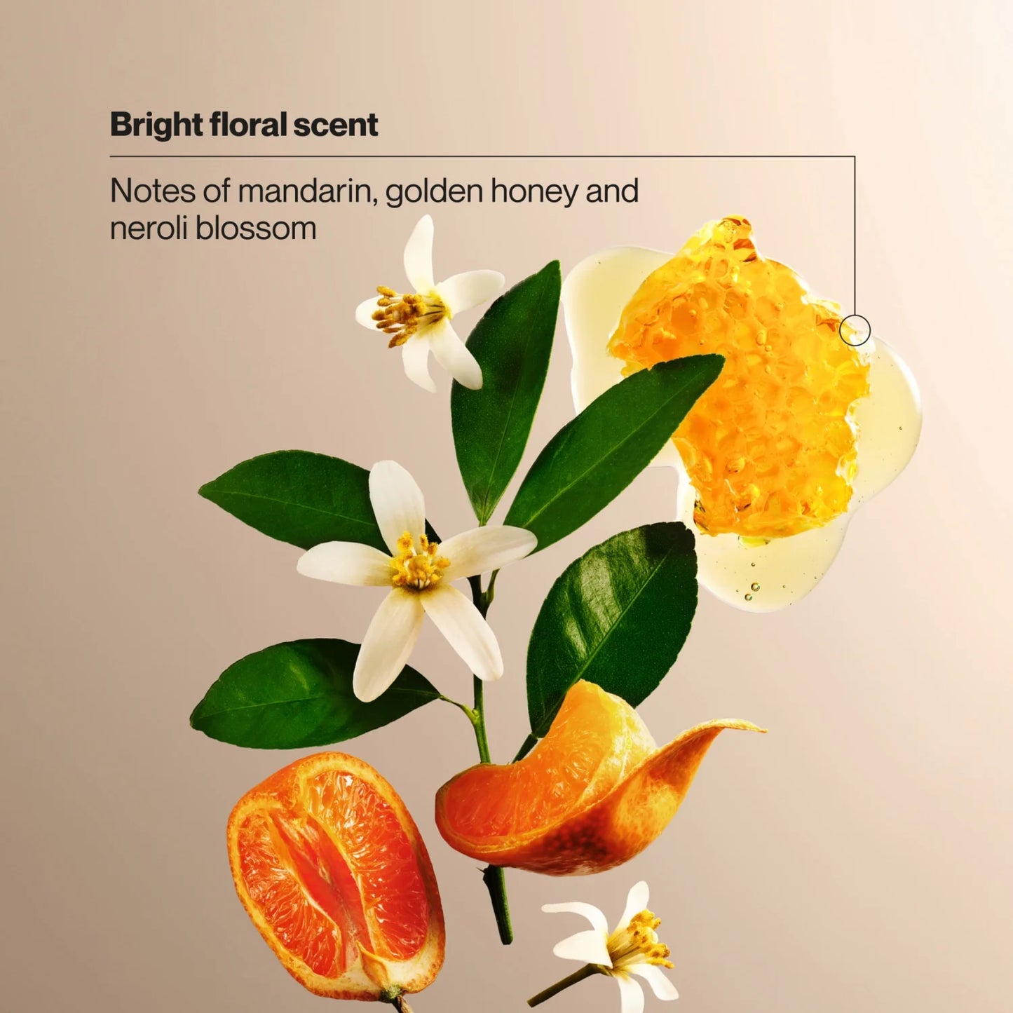 Suave Citrus Blossom Exfoliating Body Wash & Scrub With Glycerin & Vitamin E, 18 FL OZ