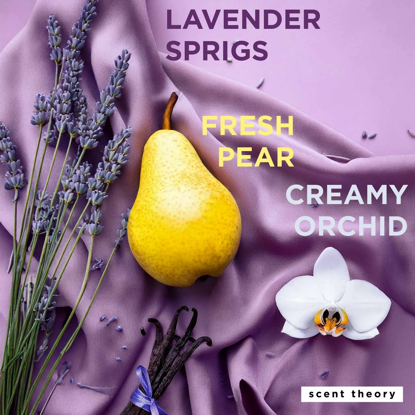 Scent Theory Body Lotion with Shea Butter- Silk Sheets, 18 oz