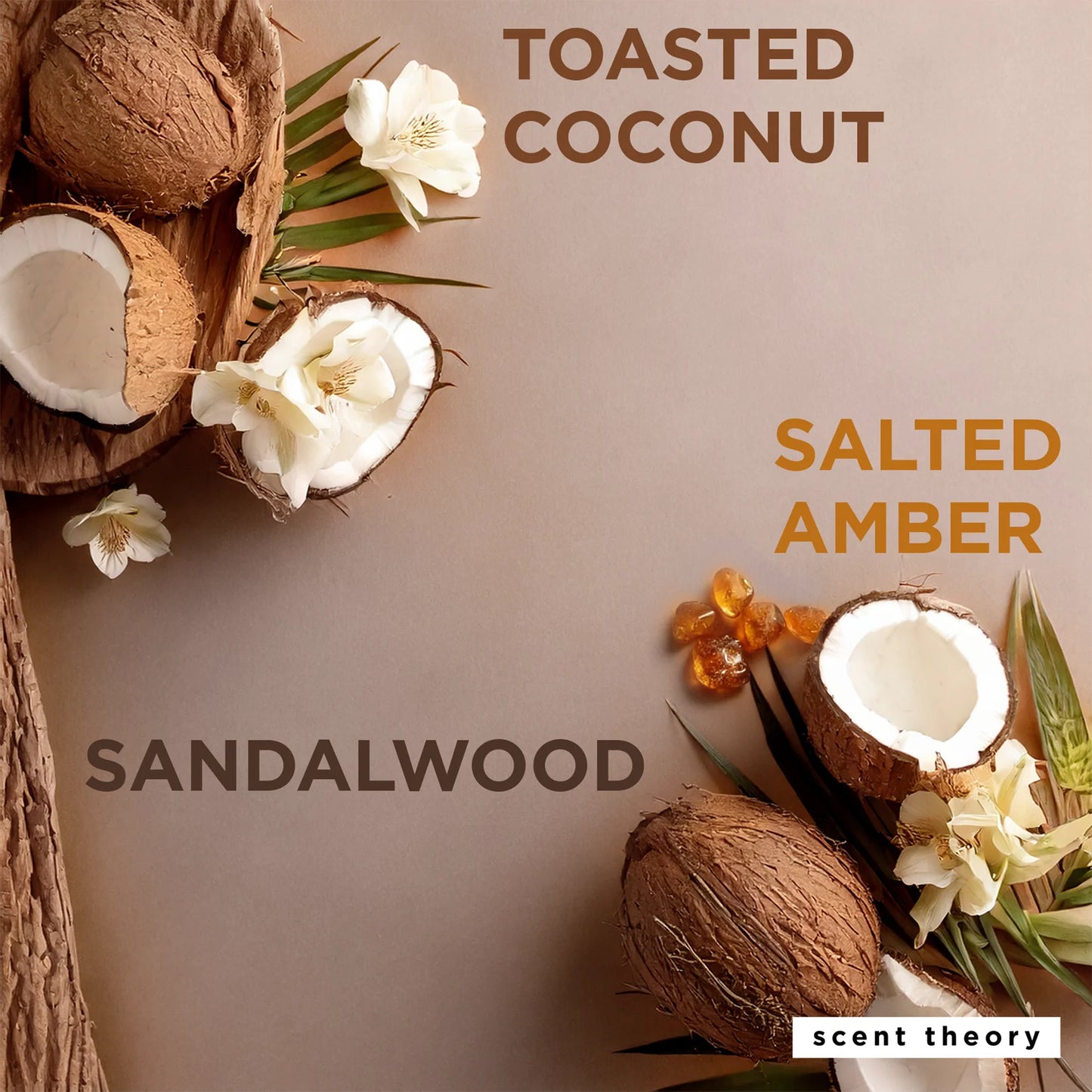 Scent Theory Body Lotion with Shea Butter- Cashmere Skin, 18 oz